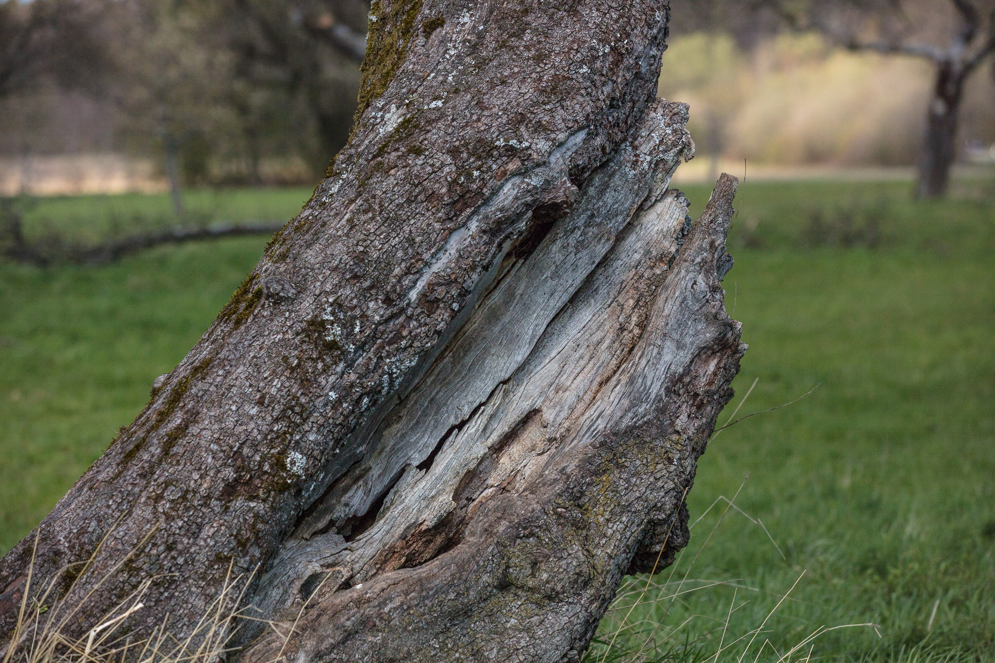 20220409154259 DP013977